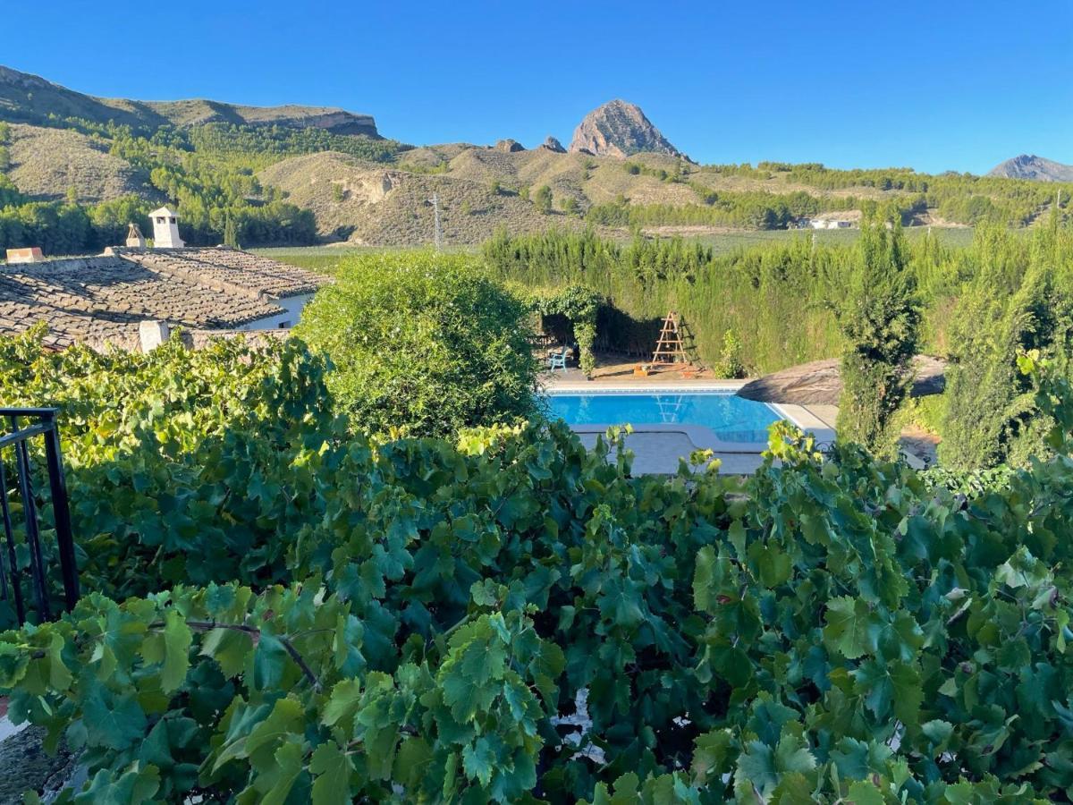 Casas Rurales El Cabezo De La Torre Villa Cieza Bagian luar foto